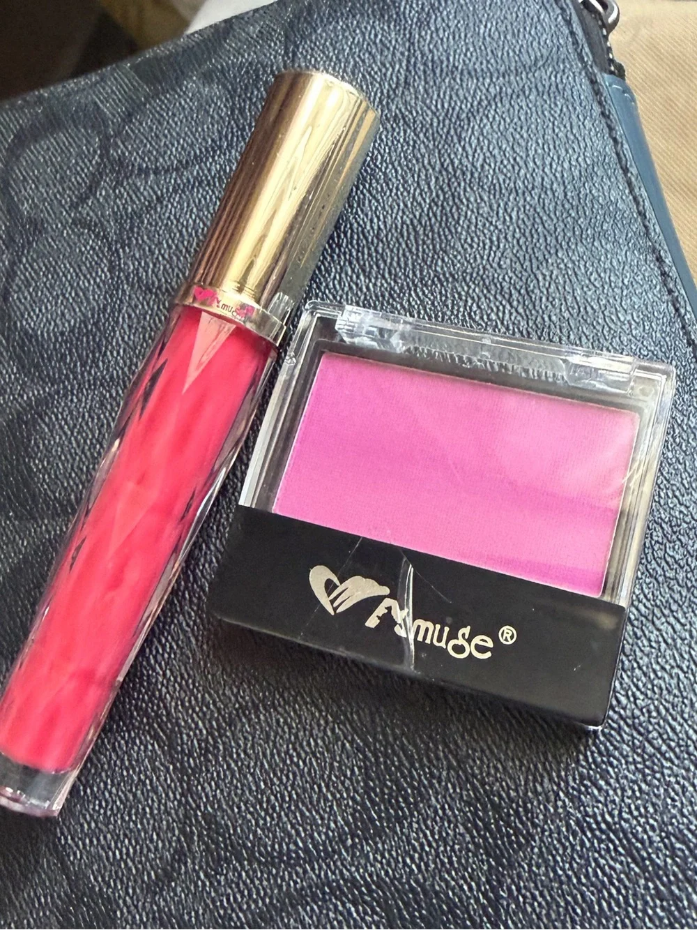 NEW Vibrant Pink Blush & coral pink Lip Gloss bundle lot x2
